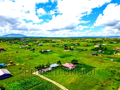 The Place to Invest in Now - Image 4