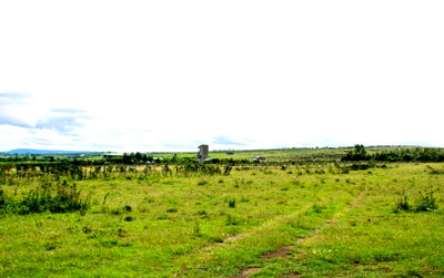 50x100 Plot with Garden in Naivasha