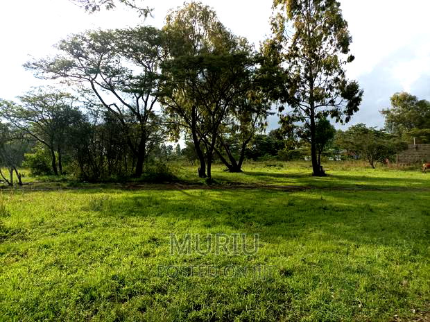 4 Acres Kenol Highway Land for Lease.