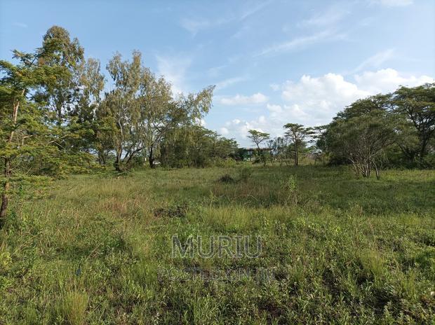 4 Acres Kenol Highway Land for Lease.