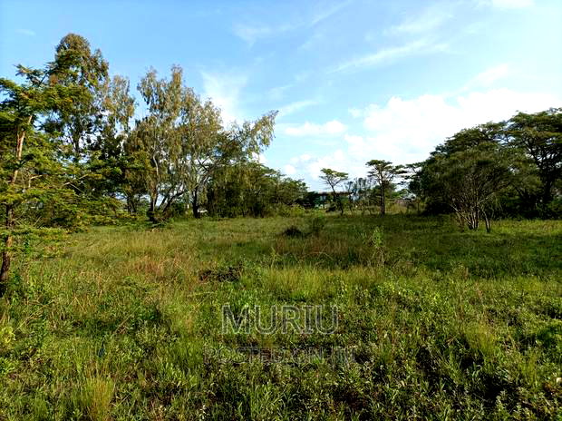 4 Acres Kenol Highway Land for Lease.