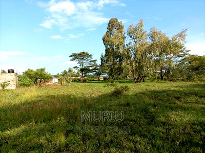 4 Acres Kenol Highway Land for Lease. - Image 7