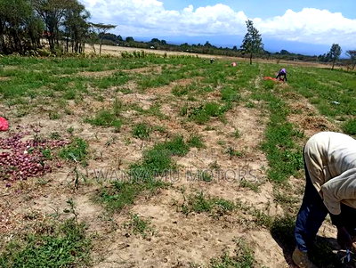 4 Acre Plot 4 Sale - Image 1