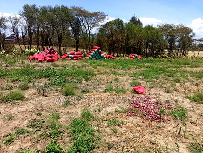 4 Acre Plot 4 Sale - Image 3