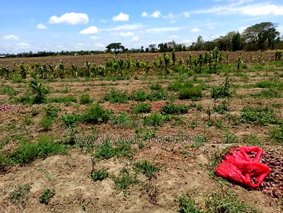 4 Acre Plot 4 Sale - Image 2