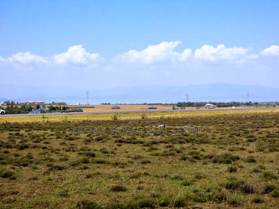 Naivasha Plots Touching Tarmac - Image 1