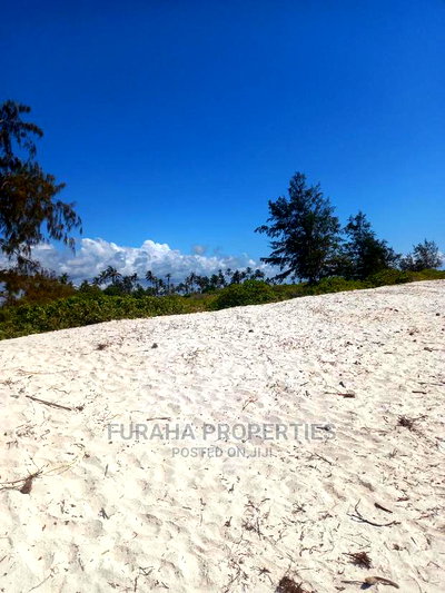 For Sale 50 Acres Beach Land Kilifi - Image 6