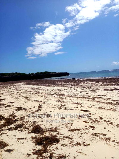 For Sale 50 Acres Beach Land Kilifi - Image 1