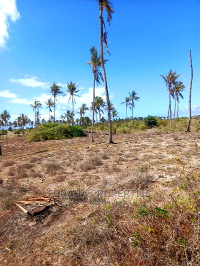 For Sale 50 Acres Beach Land Kilifi - Image 5