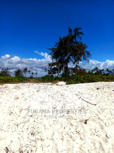 For Sale 50 Acres Beach Land Kilifi - Image 3