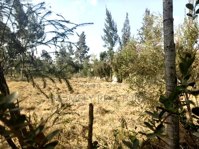 One Acre Piece of Land for Sale in Karen, Nairobi. Very Accessible - Image 3