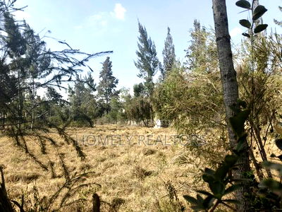 One Acre Piece of Land for Sale in Karen, Nairobi. Very Accessible - Image 1