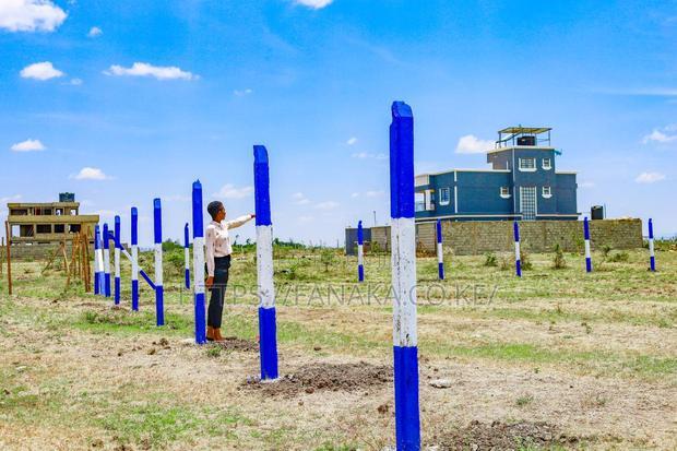 Prime Kamakis Plots for Sale