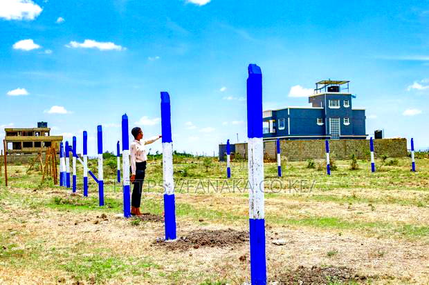 Prime Kamakis Plots for Sale