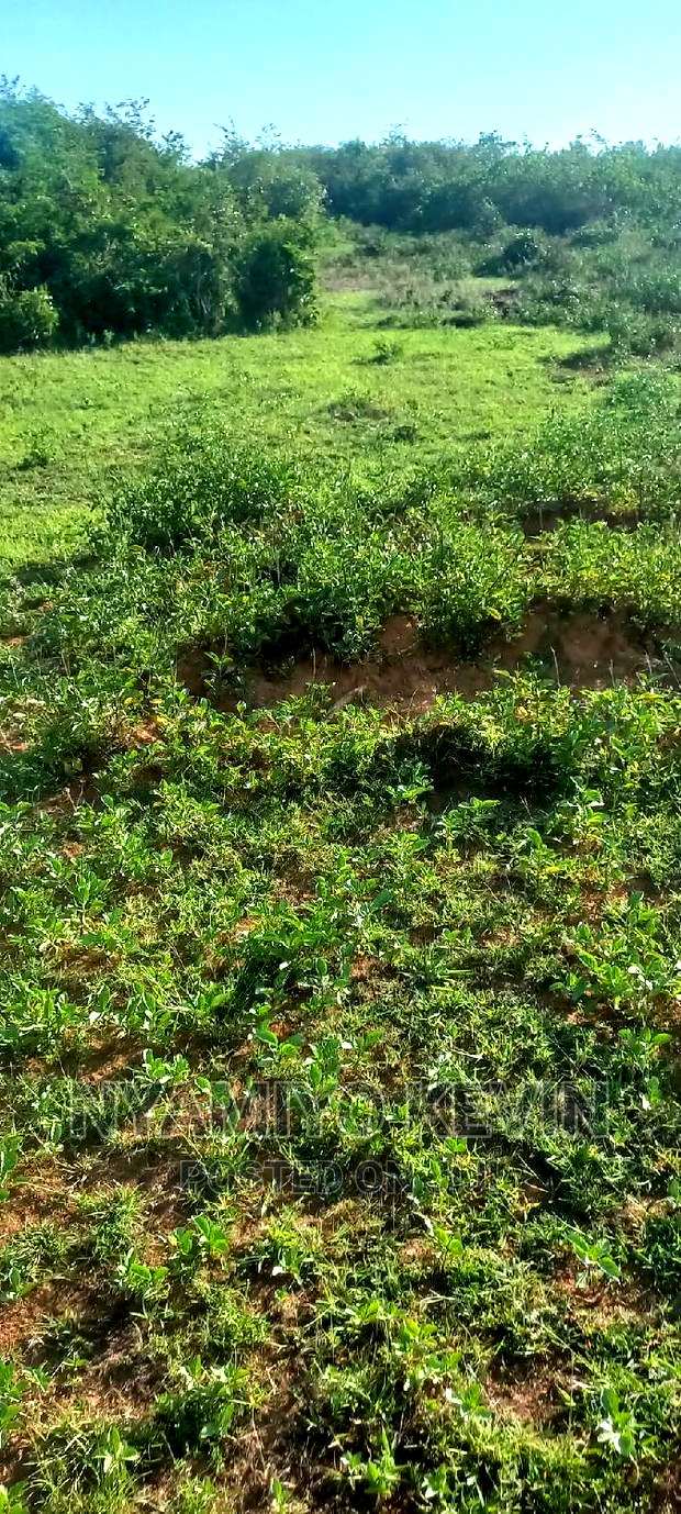 Sakwa Warianda