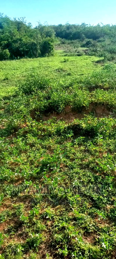 Sakwa Warianda - Image 2