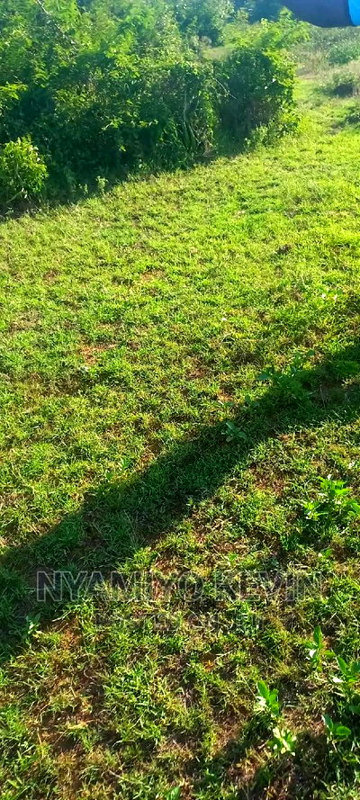 Sakwa Warianda - Image 1