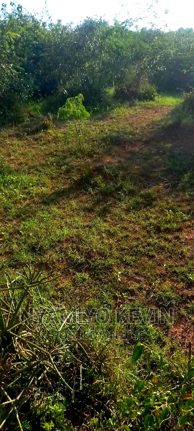 Sakwa Warianda