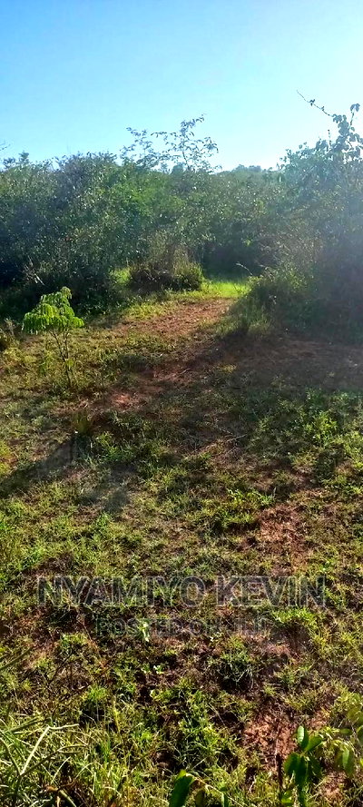 Sakwa Warianda - Image 4