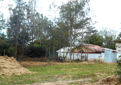 Quarter Acre Plot with Garden