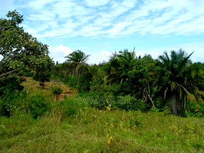 Plot for Sale in Kwale Shimbahills 30 Acres - Image 3
