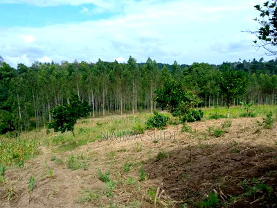 Plot for Sale in Kwale Shimbahills 30 Acres - Image 1