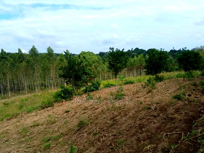 Plot for Sale in Kwale Shimbahills 30 Acres - Image 2
