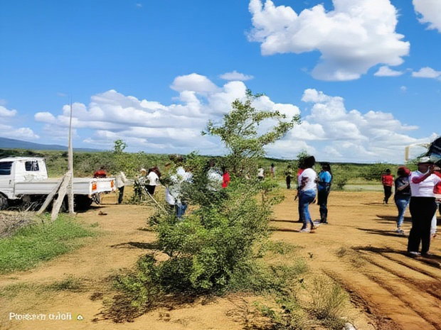 Chakama Acre Lands