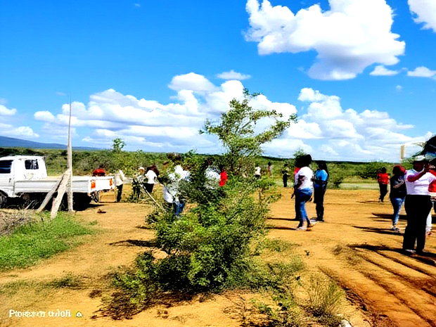 Chakama Acre Lands