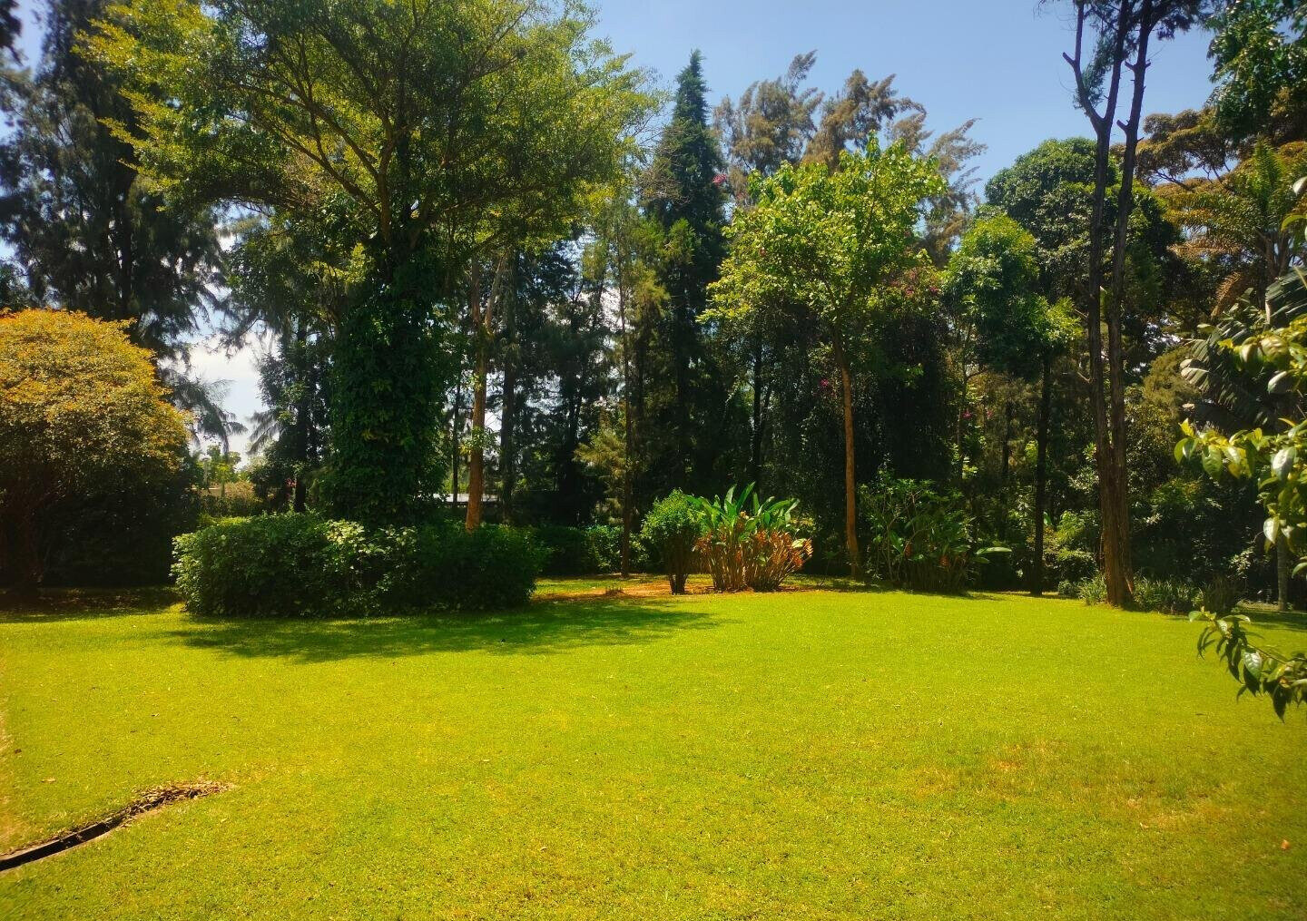 KSh 300K 4BR Garden Home