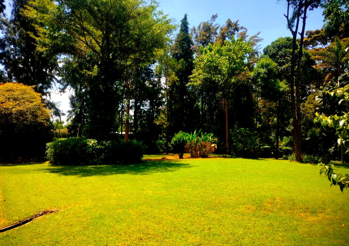 KSh 300K 4BR Garden Home