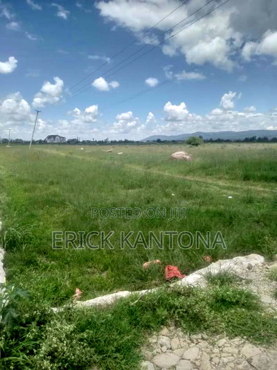 Titled 0.75acres on Sale Kagundoo Road - Image 6