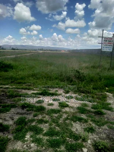 Titled 0.75acres on Sale Kagundoo Road - Image 9