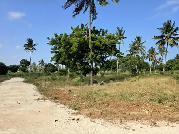 Chumani Phase5 Kilifi Between Tezo Town and Chumani Town