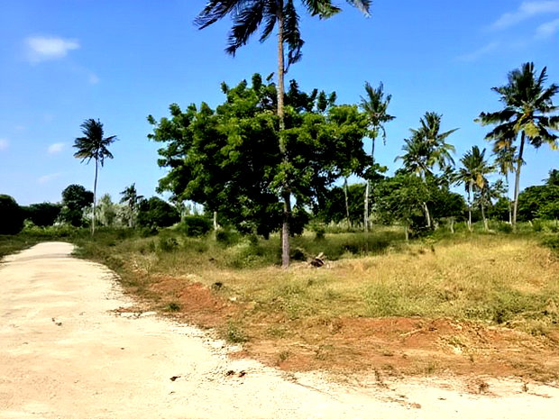 Chumani Phase5 Kilifi Between Tezo Town and Chumani Town