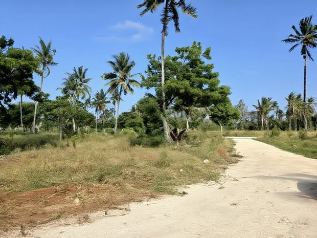 Chumani Phase5 Kilifi Between Tezo Town and Chumani Town