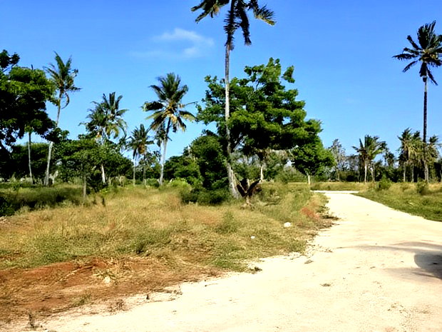Chumani Phase5 Kilifi Between Tezo Town and Chumani Town