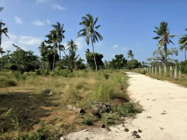 Chumani Phase5 Kilifi Between Tezo Town and Chumani Town