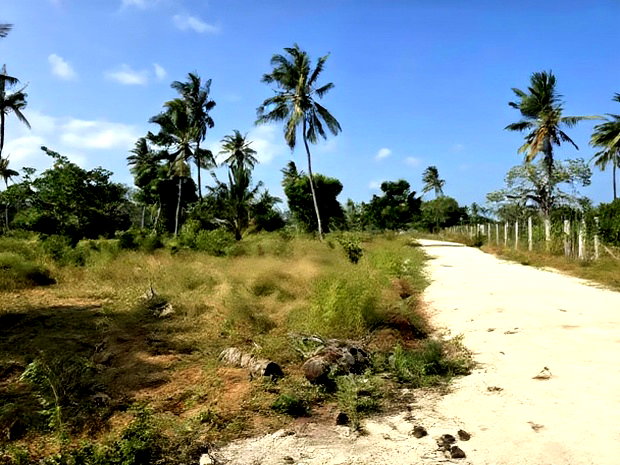Chumani Phase5 Kilifi Between Tezo Town and Chumani Town