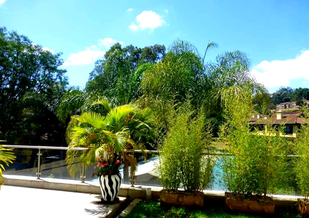 Contemporary 4BR Villa with Plunge Pool & Terrace – Kyuna