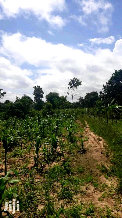 For Sale Quater Acres Plots Mtepeni Mtwapa - Image 3