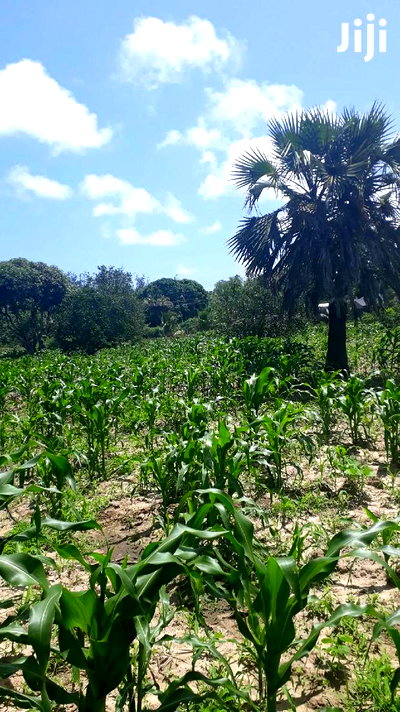 For Sale Quater Acres Plots Mtepeni Mtwapa - Image 6