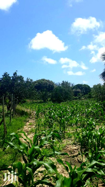 For Sale Quater Acres Plots Mtepeni Mtwapa - Image 5