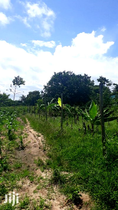 For Sale Quater Acres Plots Mtepeni Mtwapa - Image 2