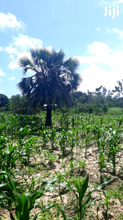 For Sale Quater Acres Plots Mtepeni Mtwapa - Image 4