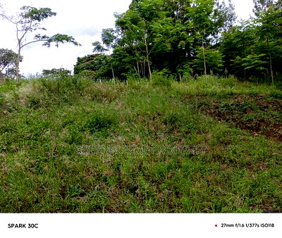 Land for Sale - Image 1