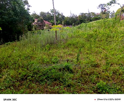 Land for Sale - Image 7