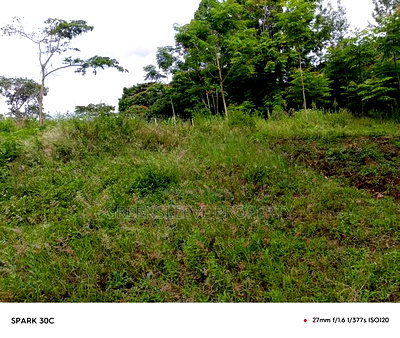 Land for Sale - Image 2