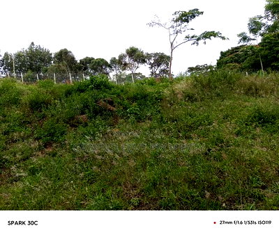 Land for Sale - Image 3