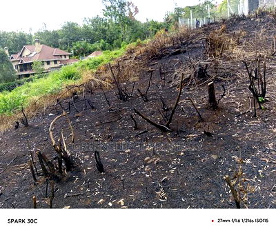 Land for Sale - Image 10